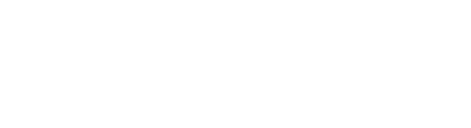 Dies Project Logo